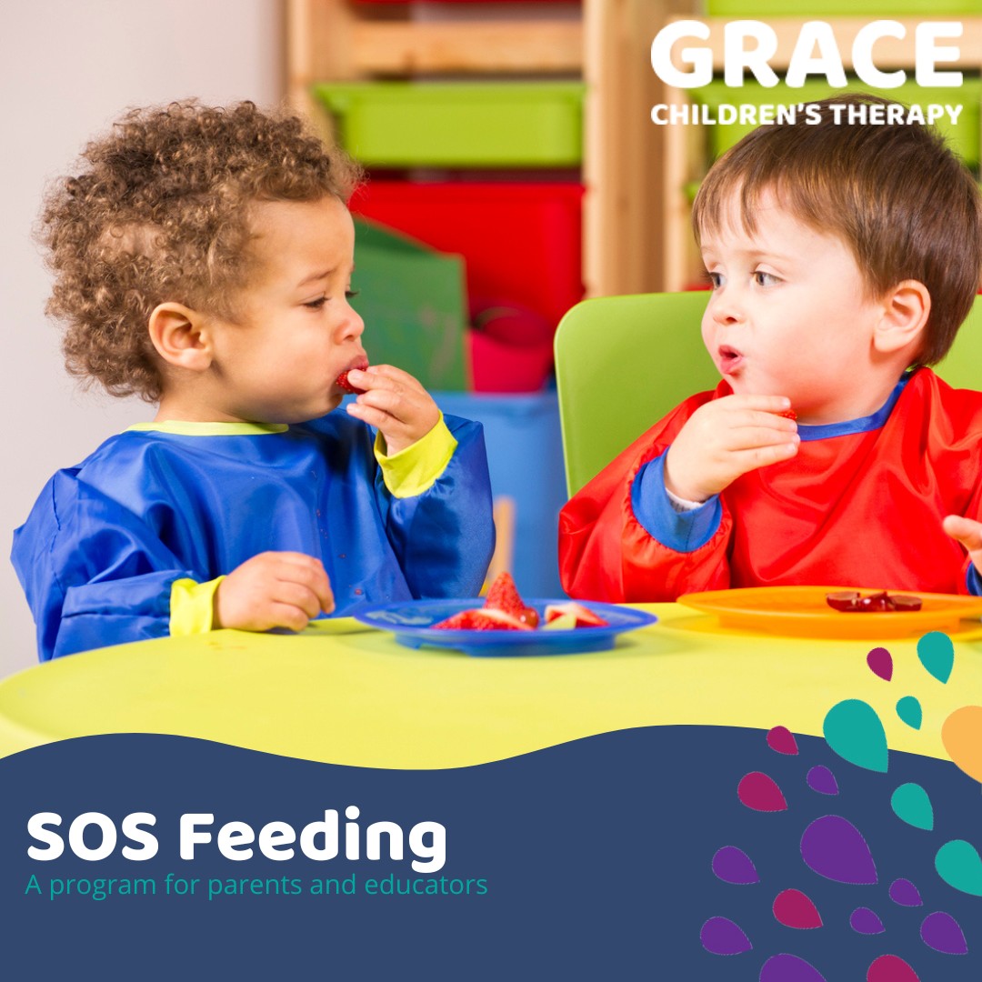 Grace Occupational Therapy Facebook ad: Wondering if Occupational Therapy is the right intervention…