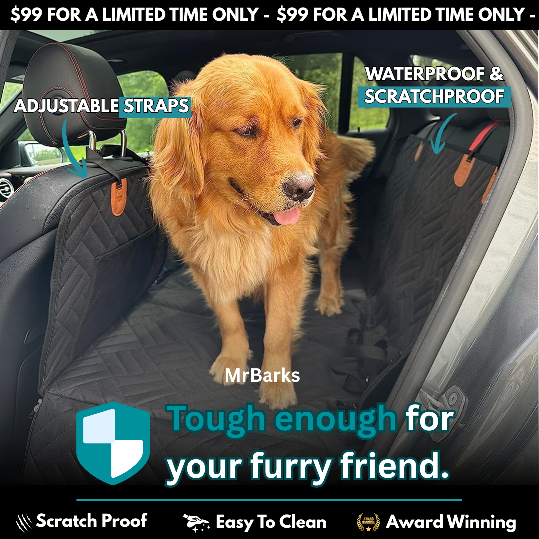 MrBarks.Shop Facebook ad