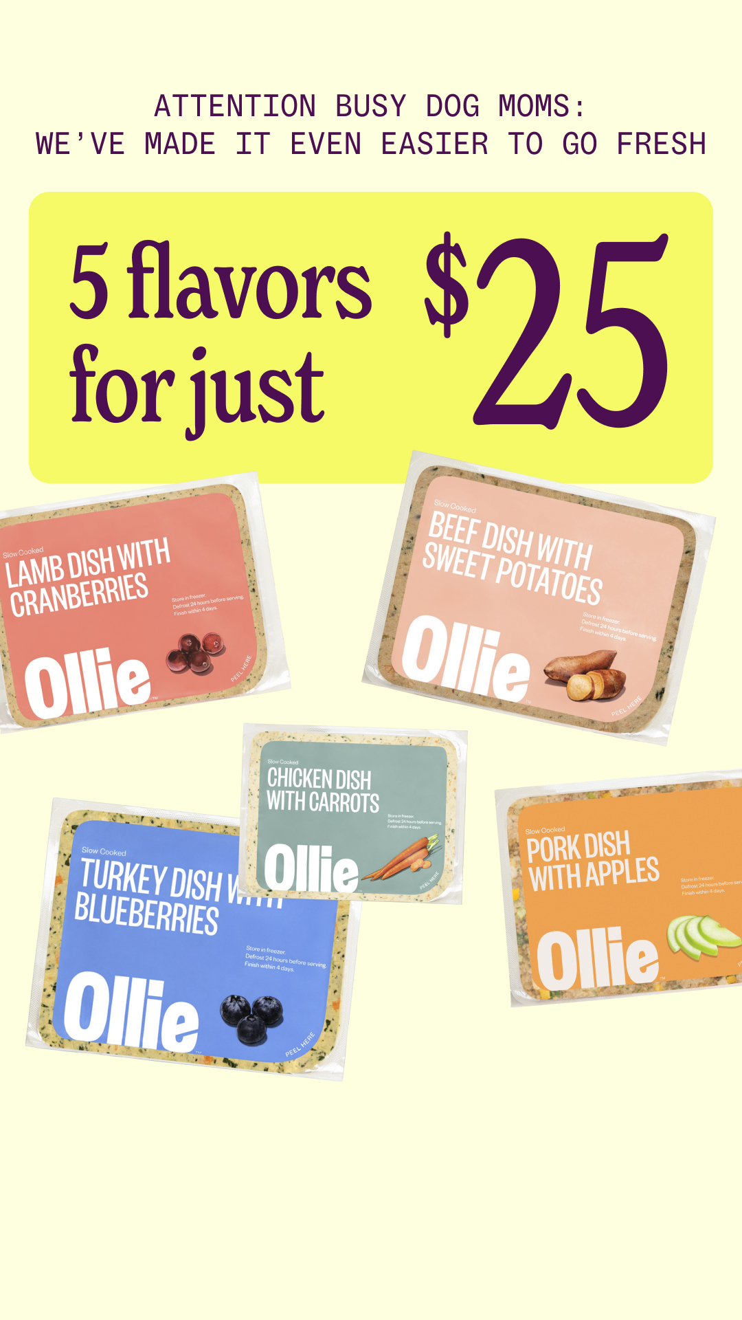 Ollie Facebook ad