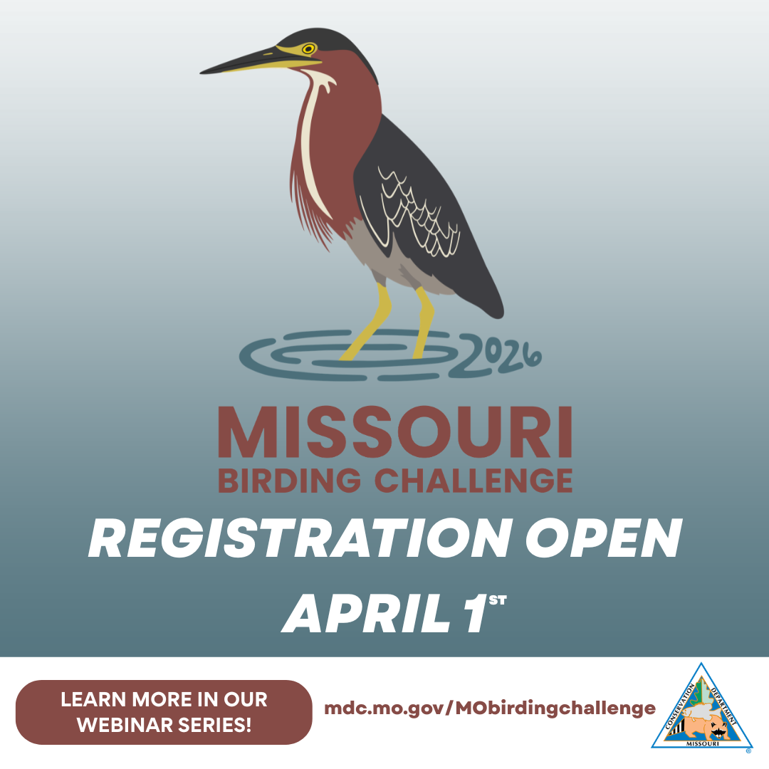 Missouri Dept. of Conservation Facebook ad