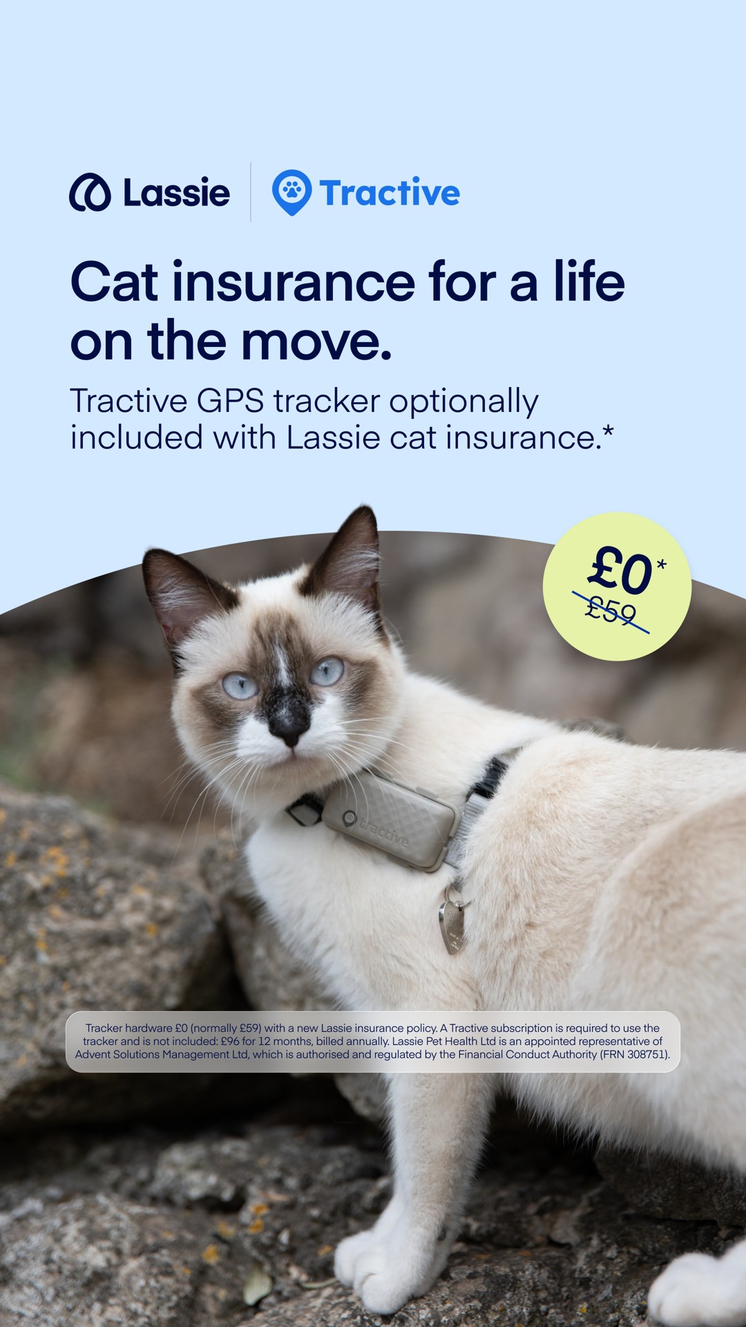 Lassie UK Facebook ad