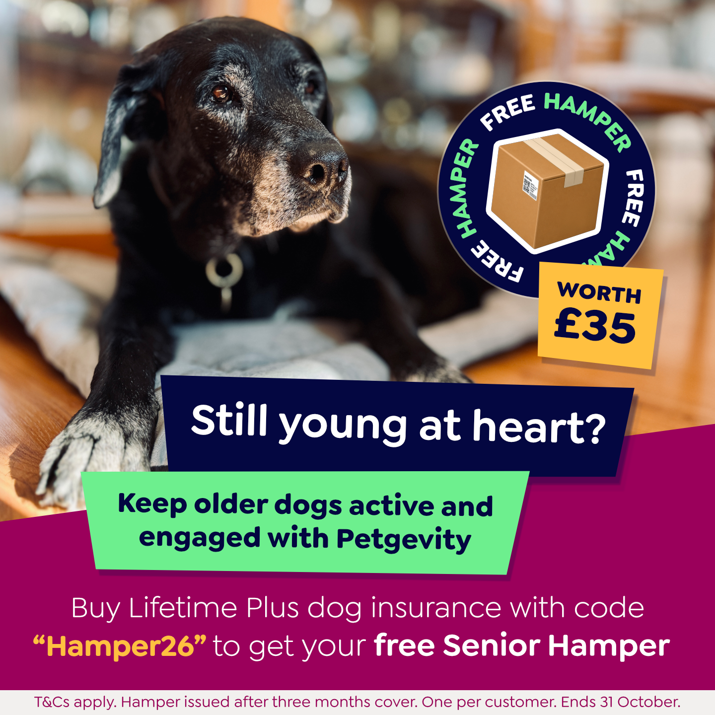 Petgevity UK Facebook ad: The right treat with the right cover