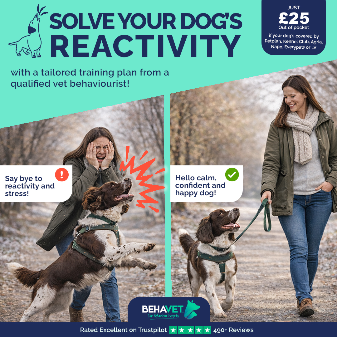 Behavet: The Pet Behaviour Experts Facebook ad