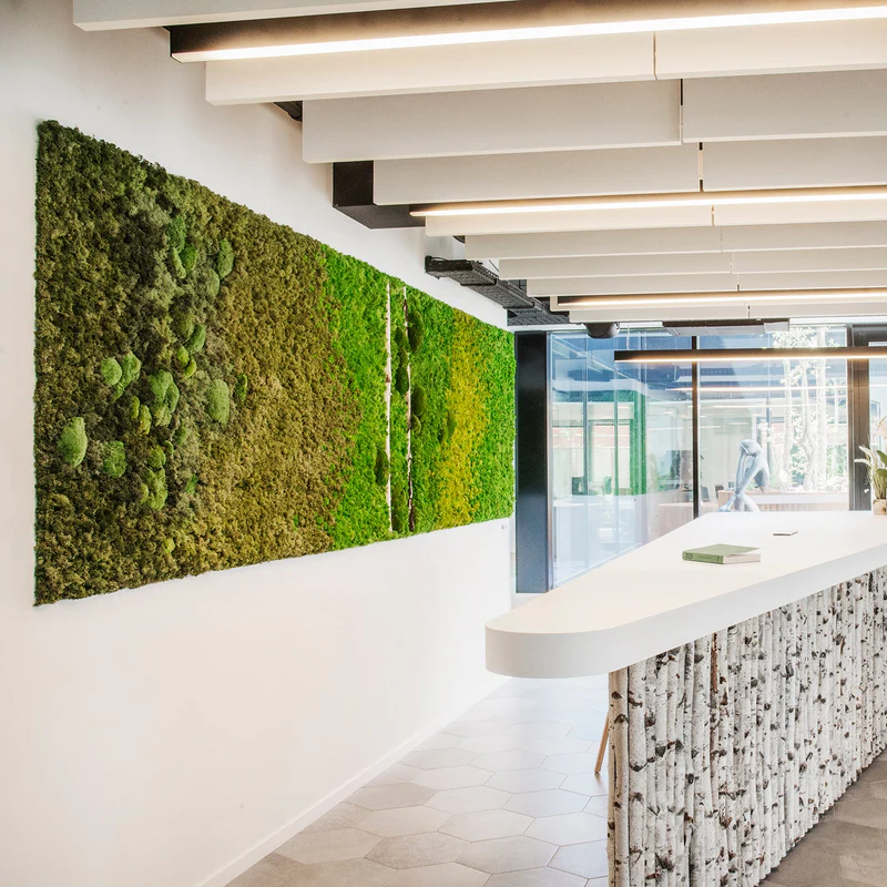 Creative Nature Facebook ad: Transform Blank Walls into Living Design