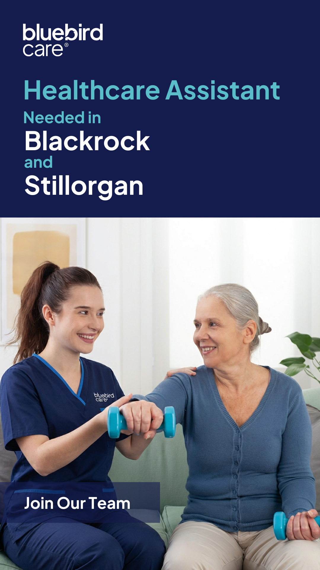 Bluebird Care Dublin South Careers Facebook ad from Feb 19, 2026
