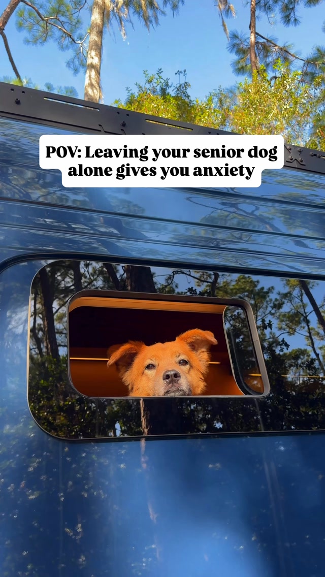 Waggle Facebook ad: One of our biggest worries with vanlife has…