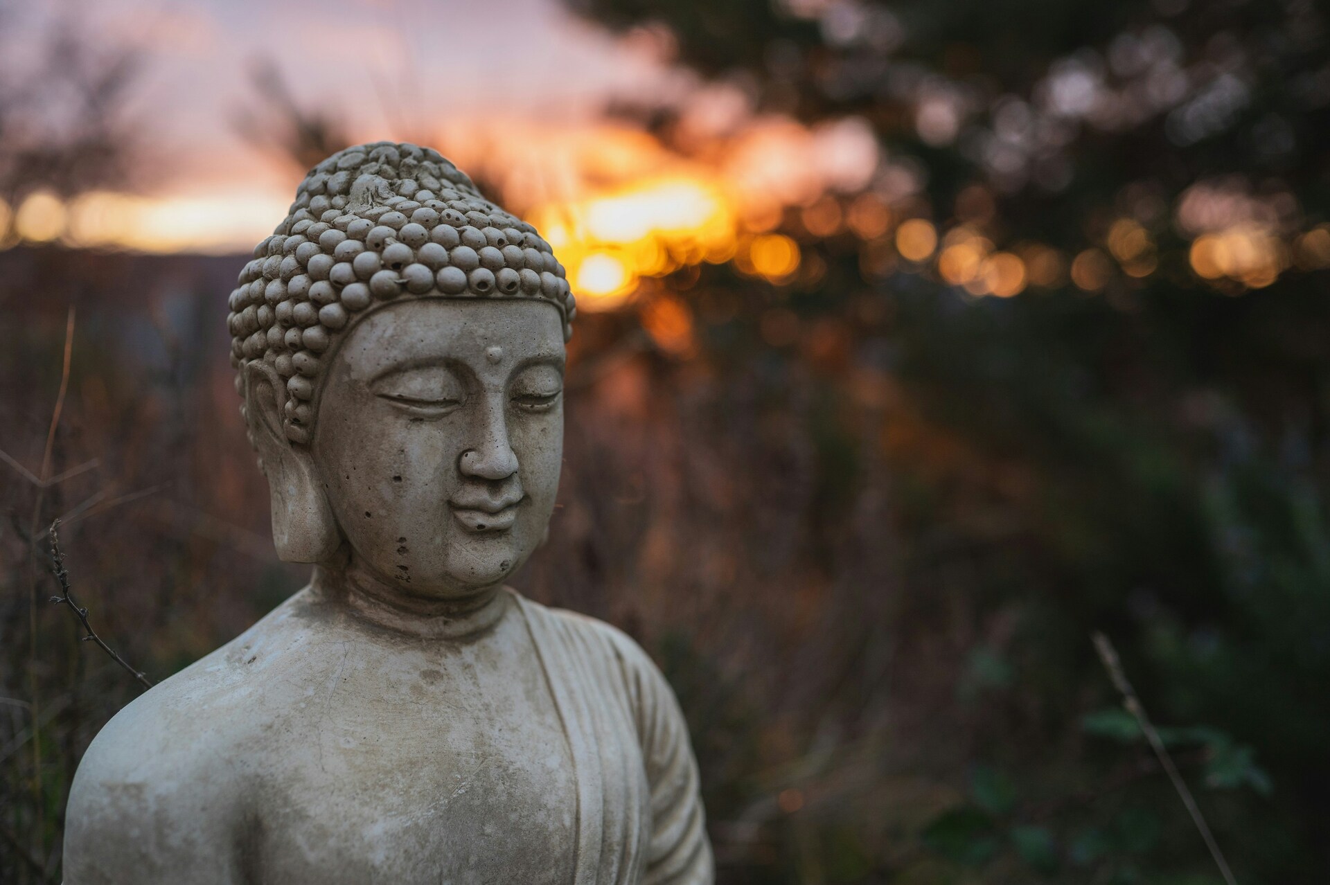 Tricycle: The Buddhist Review Facebook ad