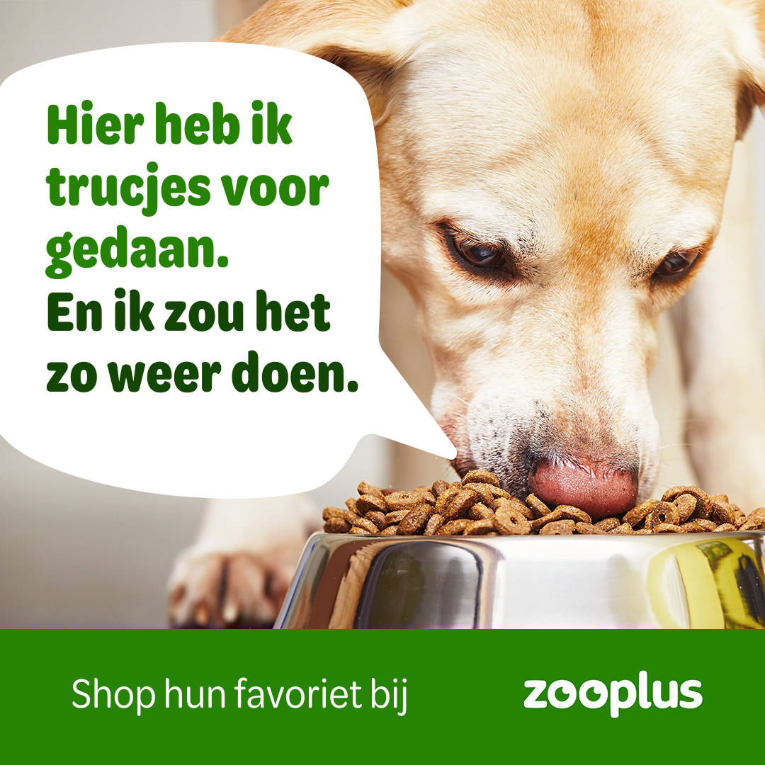 zooplus Facebook ad