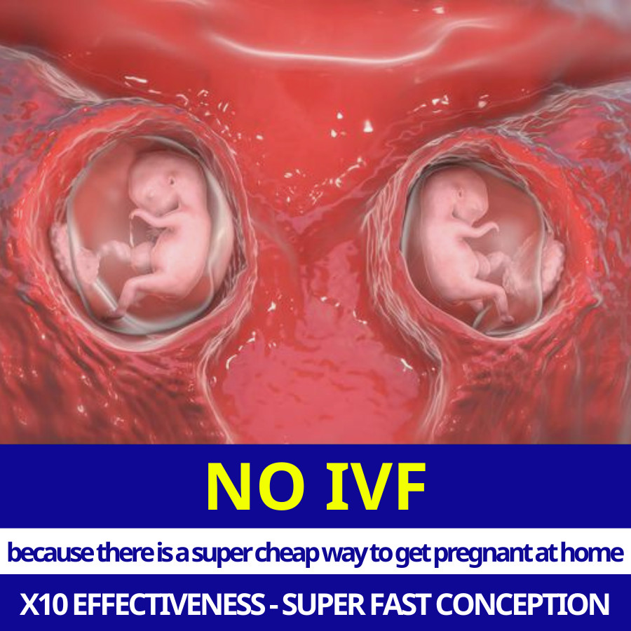 Natural Conception Method Facebook ad: Natural Pregnancy Solution, Low Cost, No IVF Needed!