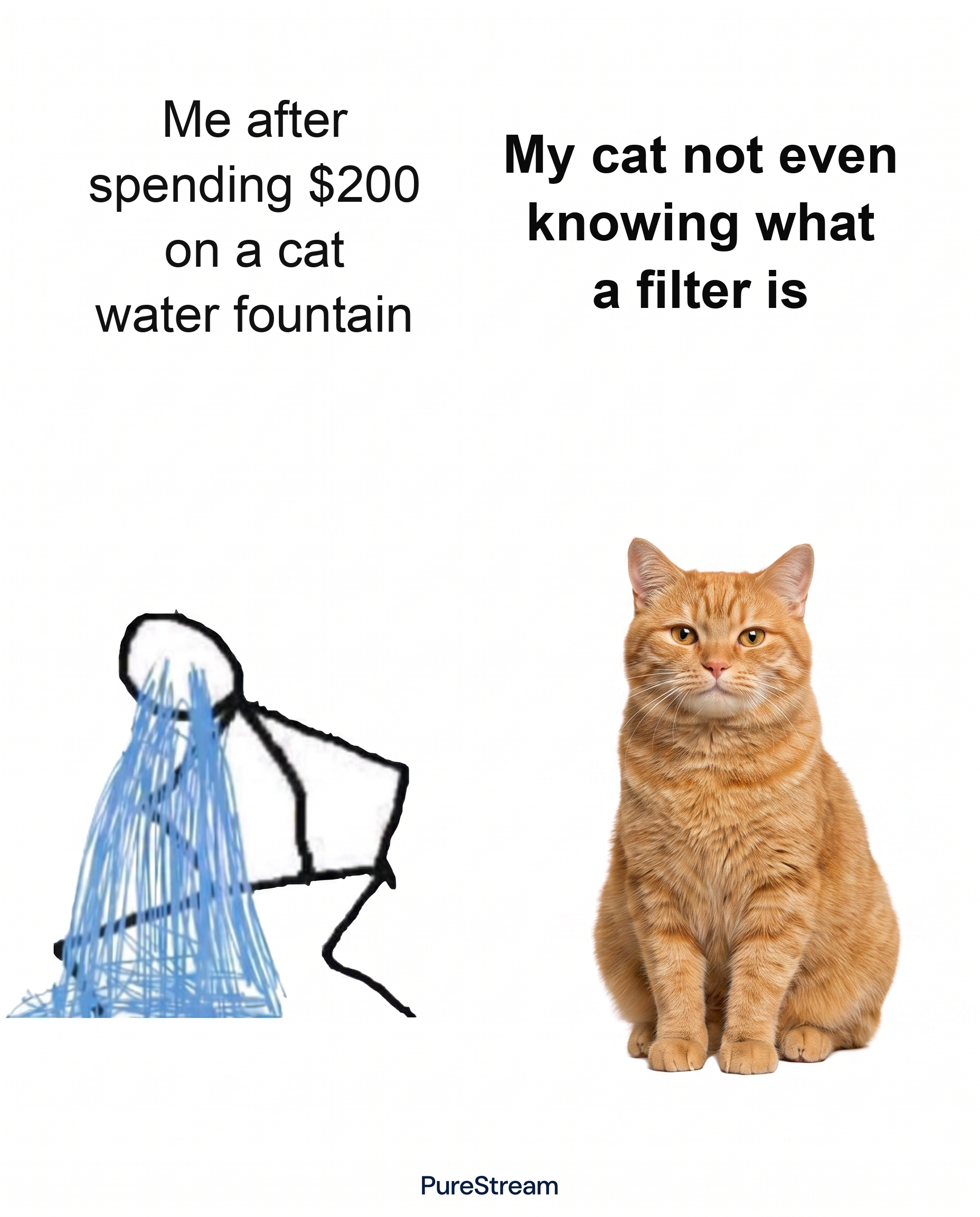 PureStream Facebook ad: The Last Fountain You'll Buy