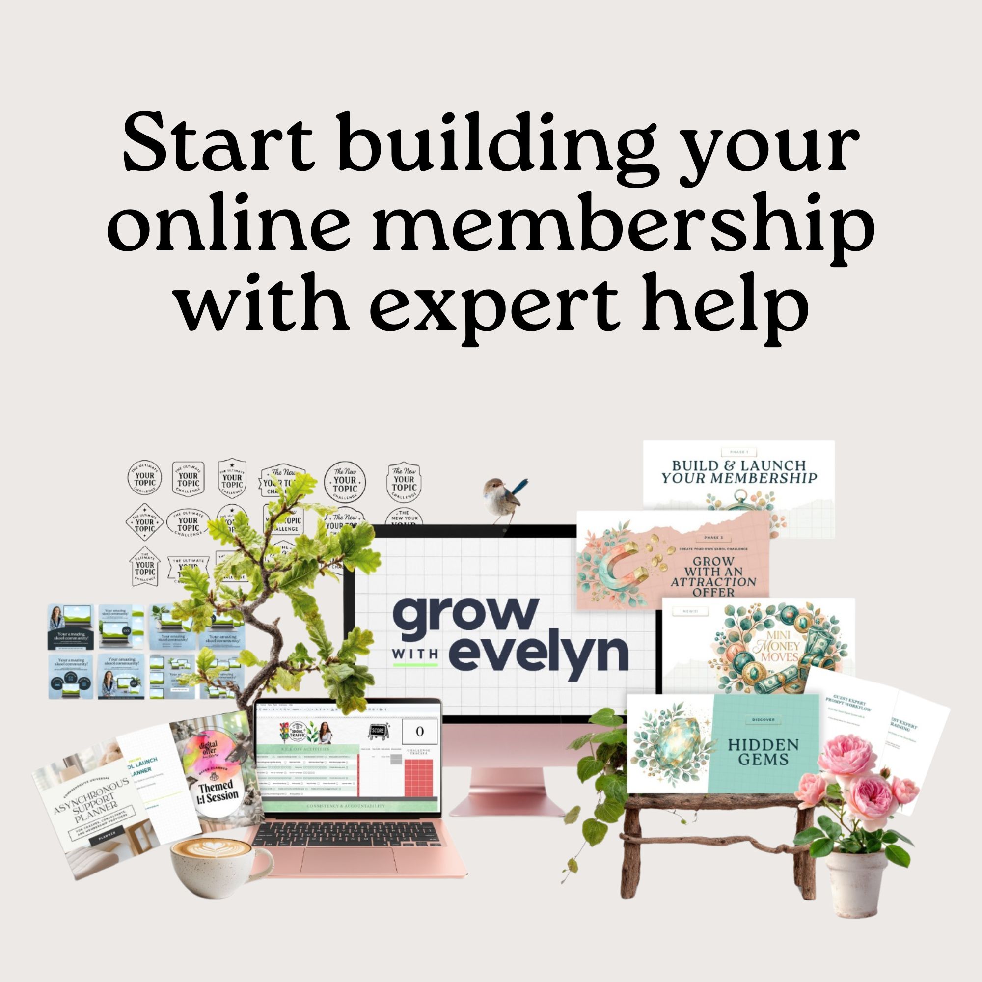 Evelyn Weiss Coaching Facebook ad