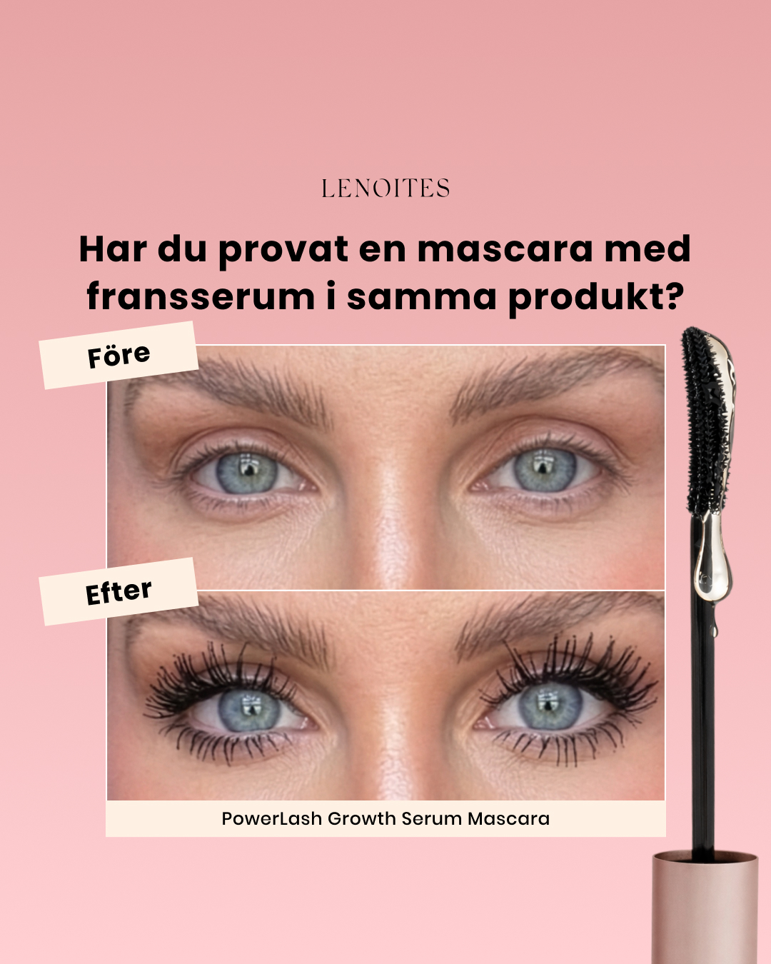 Lenoites Facebook ad