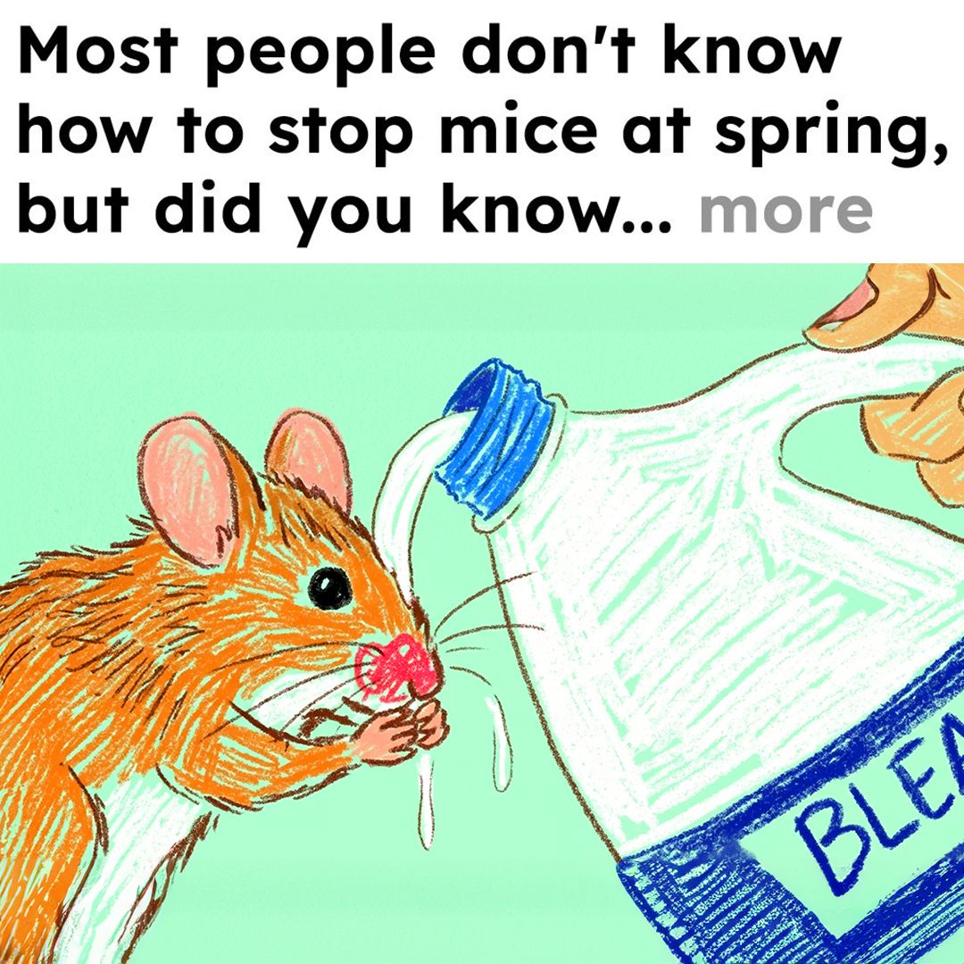 Rodent Secrets Facebook ad