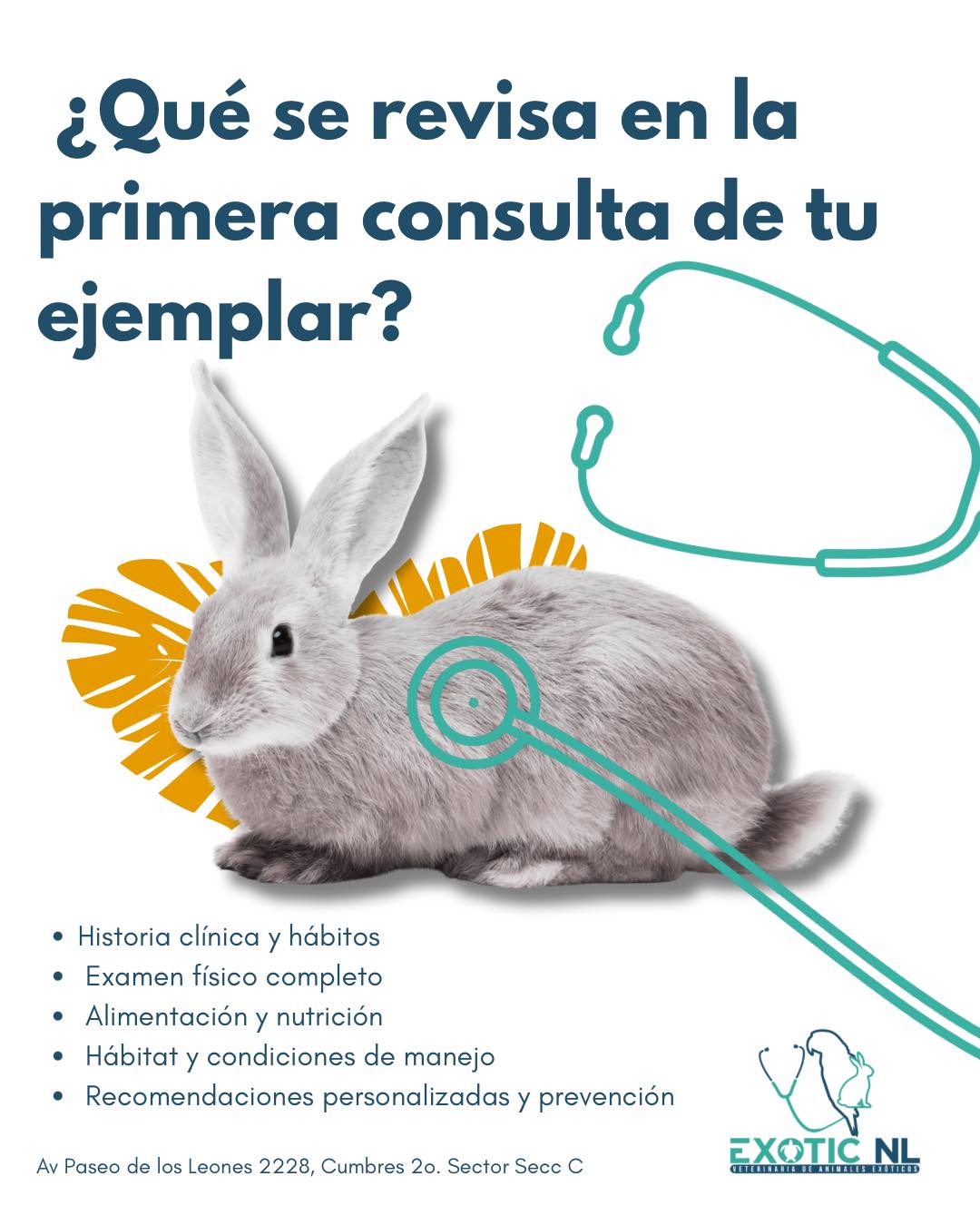 Exotic NL Veterinaria de Animales Exóticos Facebook ad: ¿Que es lo que revisamos en la primera…