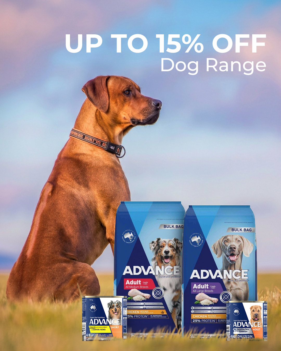 Budget Pet Products Facebook ad