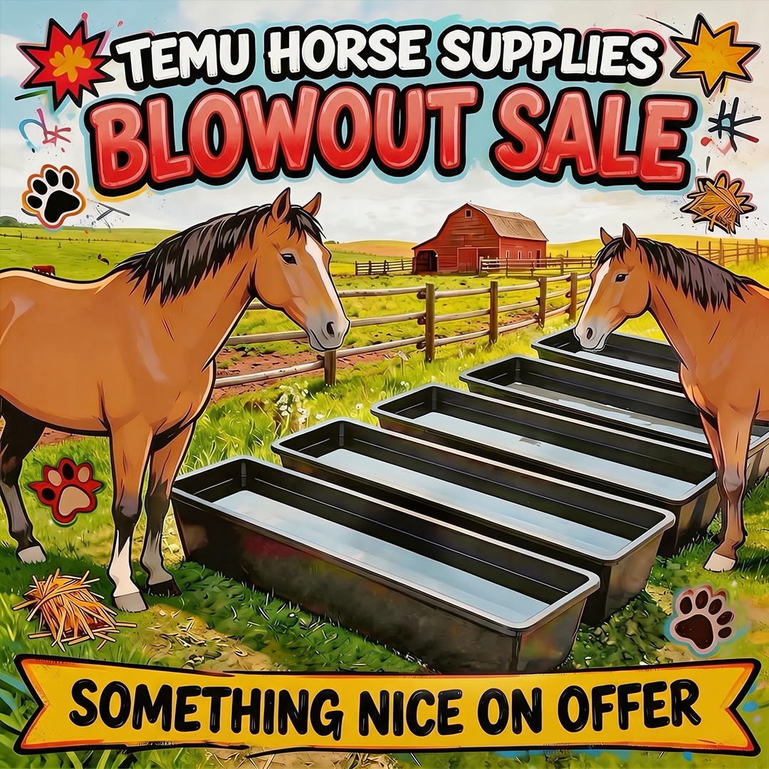 Temu.UK.TopPicks Facebook ad: Come and Shop on Temu