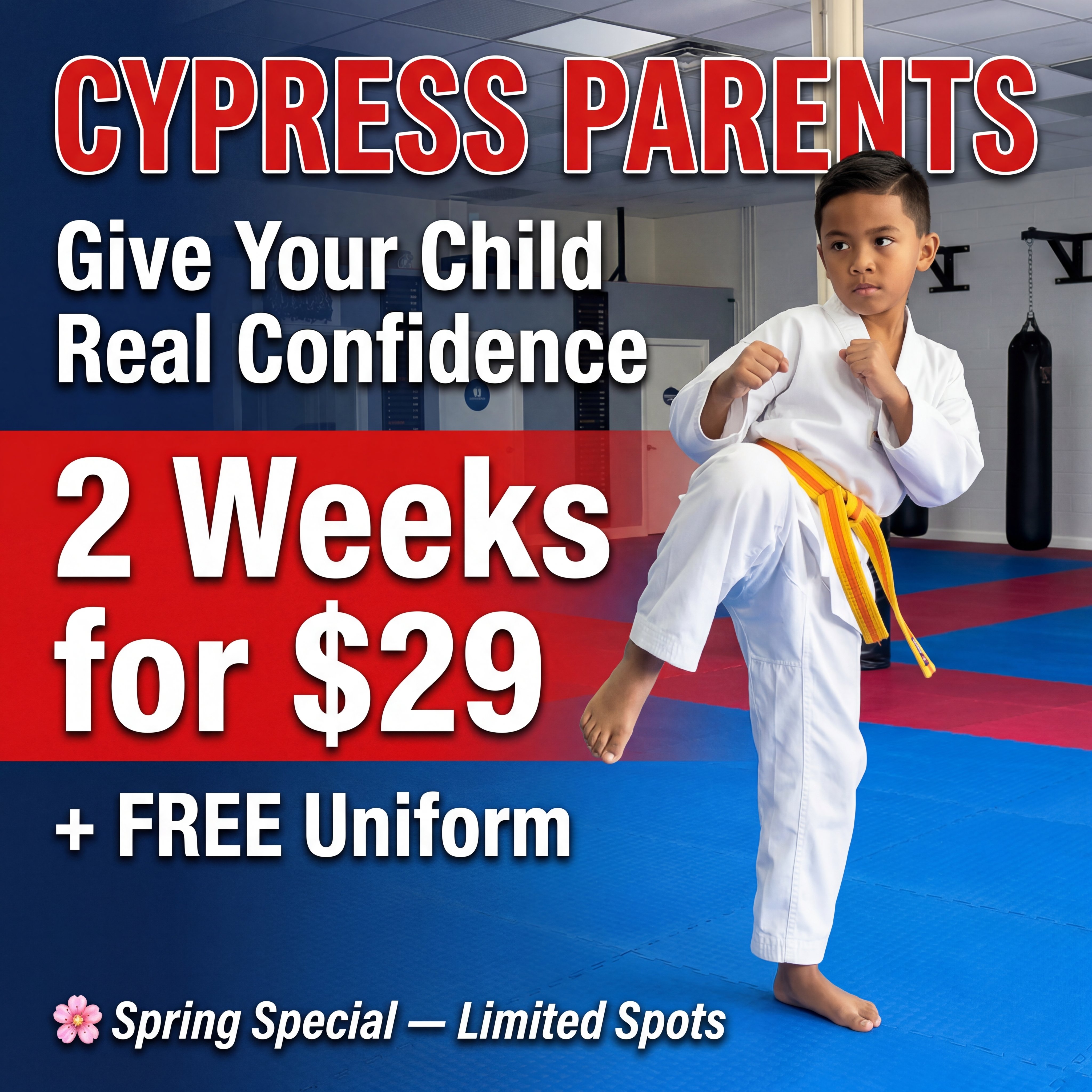 Cypress Martial Arts - Tom Vo's Taekwondo Facebook ad