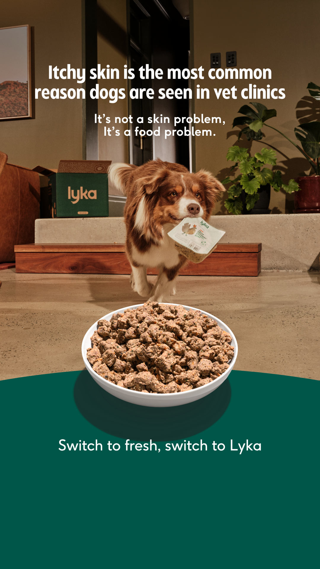 Lyka Pet Food Facebook ad