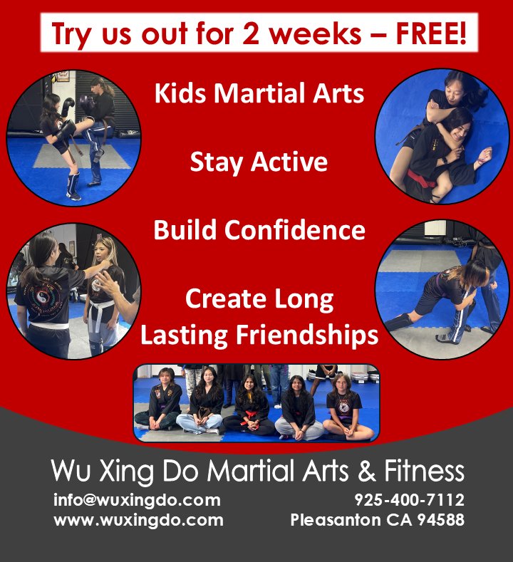 Wu Xing Do Martial Arts & Fitness Facebook ad
