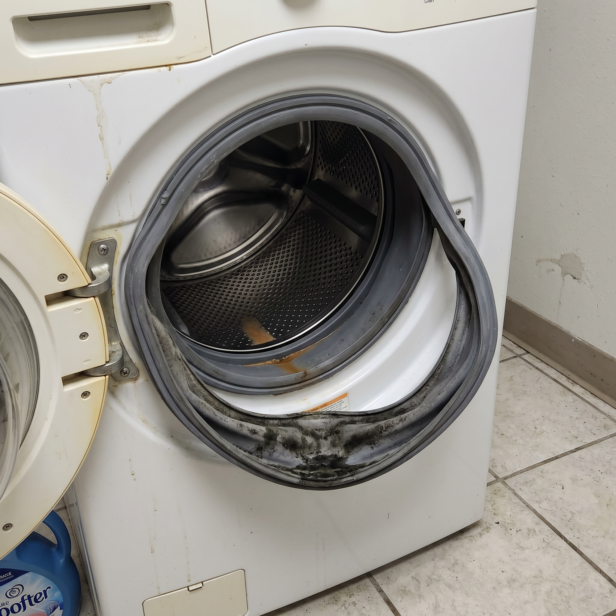 The National Home Laundry Association Facebook ad: Your Washer Was Designed To Smell Musty…