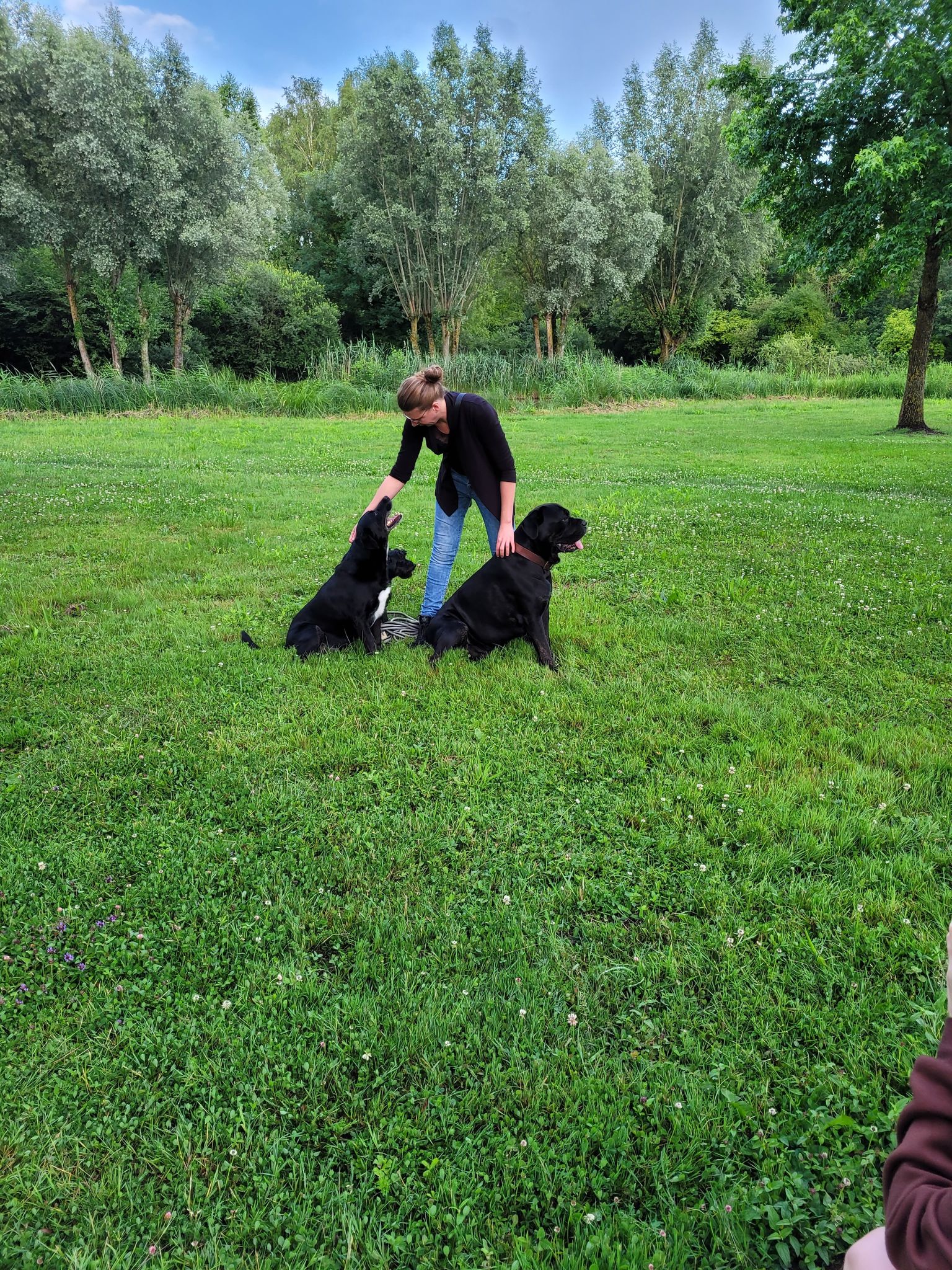 Educ'canin Grenier Marjorie Facebook ad: bonjour