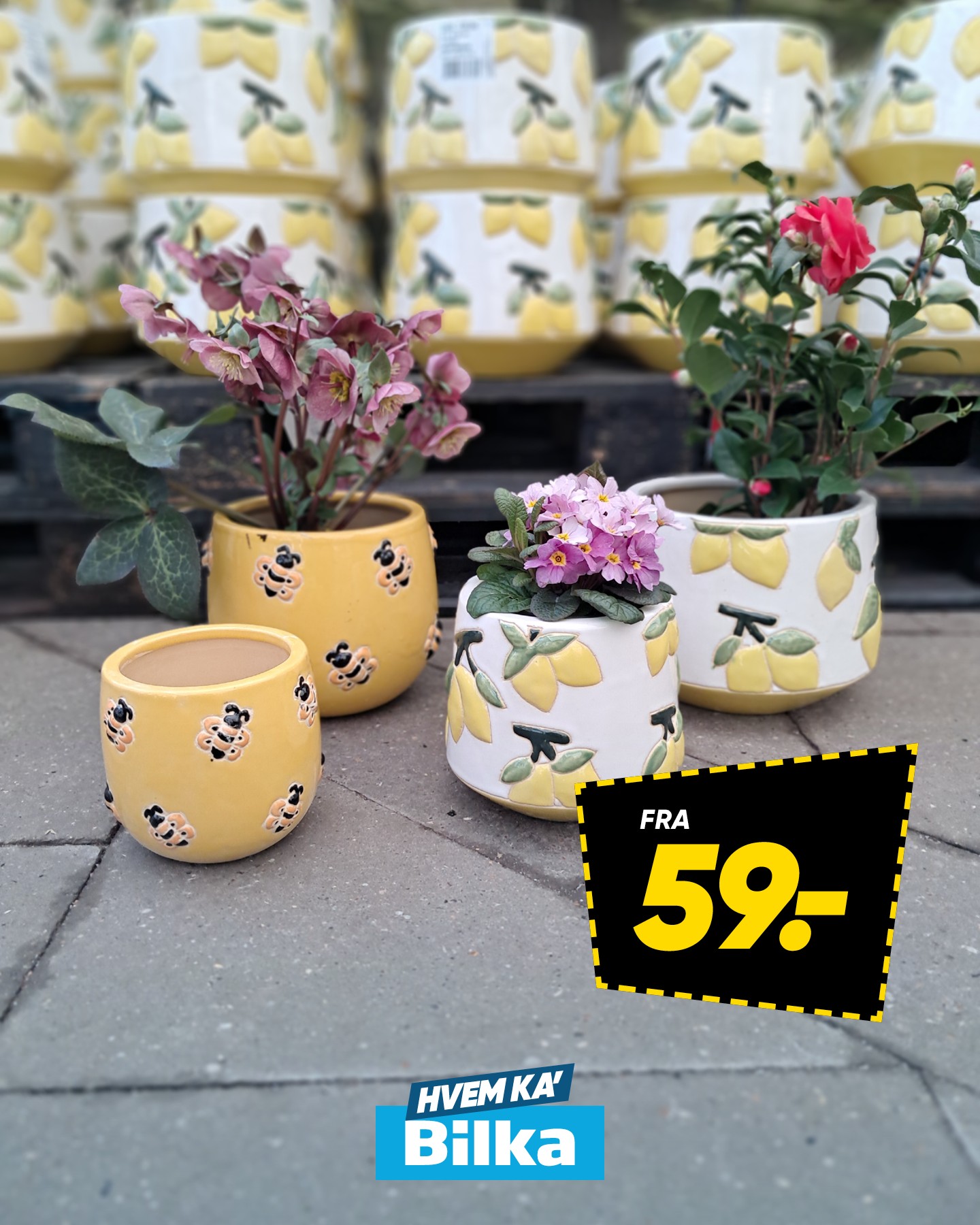 Bilka Facebook ad: Se mere i avisen