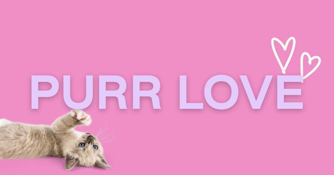 CatLadyBox Facebook ad: Cat Lady Box, Monthly Subscription Box for Cat Lovers &…