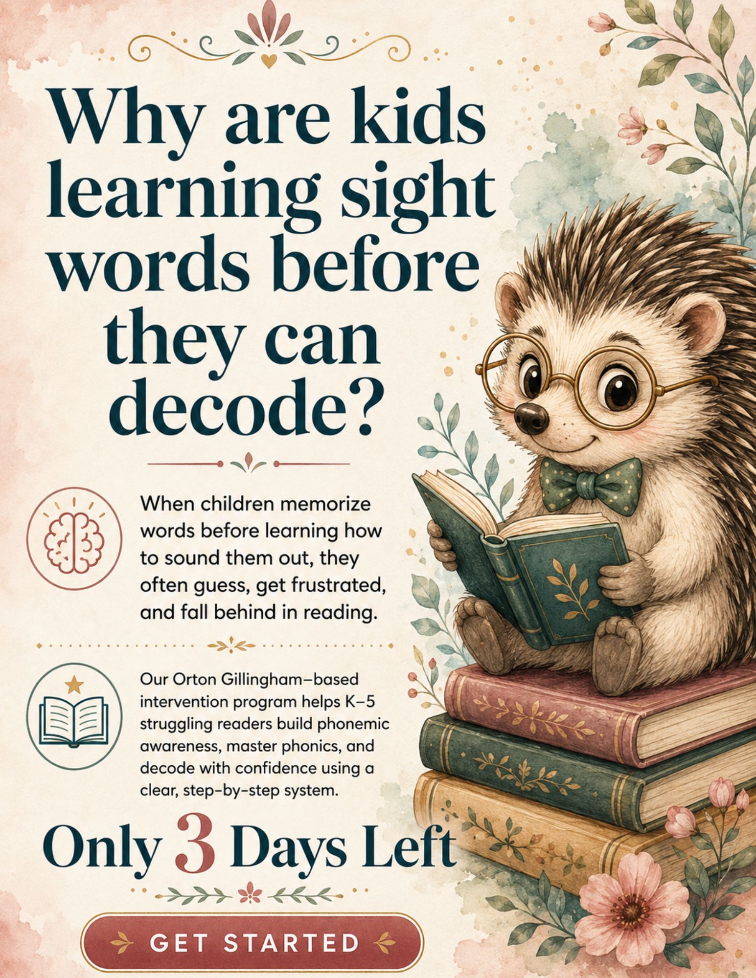 Budding Brains Books Facebook ad: Help Struggling Readers Learn to Decode