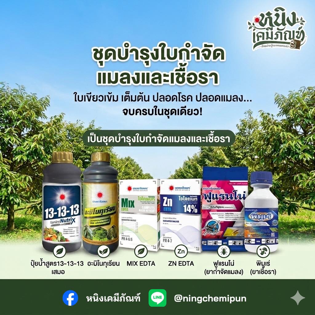 หนิงเคมีภัณฑ์ Facebook ad: หยุดปัญหาทุเรียน จบทุกเรื่องในชุดเดียว