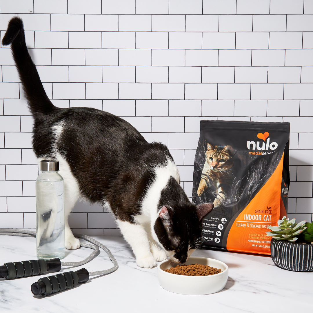 Petco Facebook ad