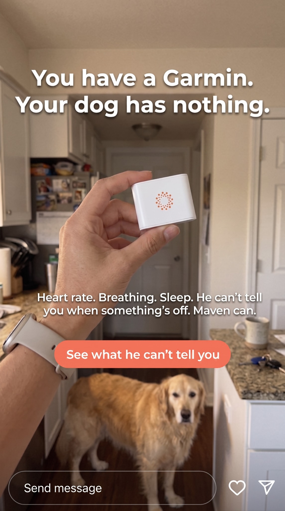 Maven Pet Facebook ad