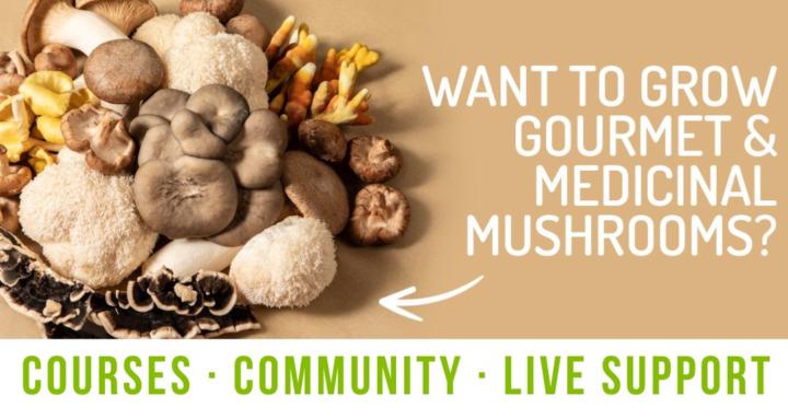 GroCycle Facebook ad: FREE Trial: Mushroom Growing Community