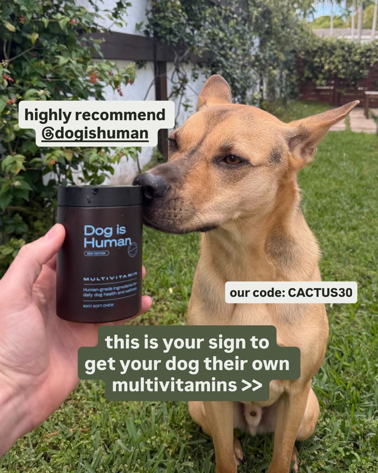 Smart Dog Health Facebook ad