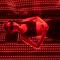 ผ้าห่มเอสจี Red Light Blanket - ฟื้นฟู ชะลอวัย SG Longevity & Wellness