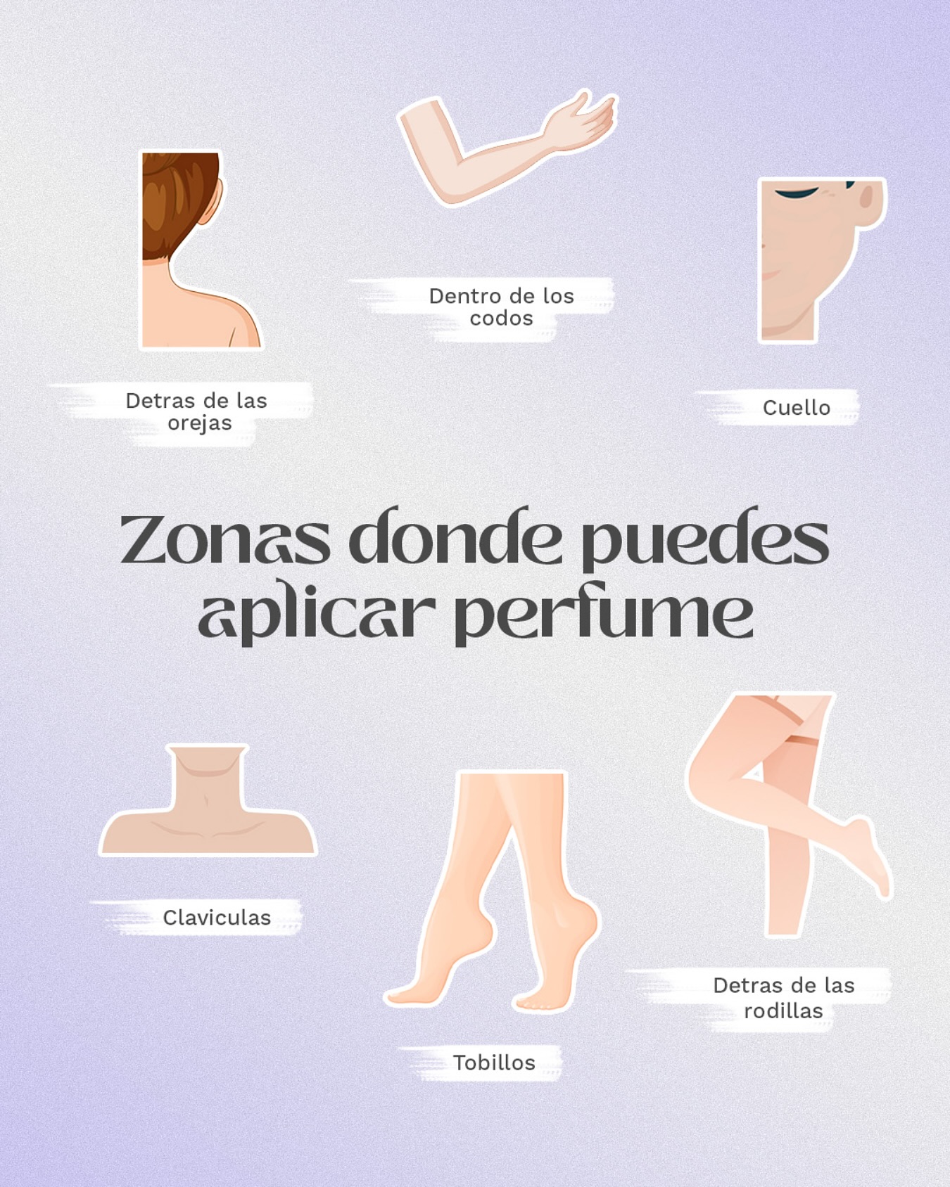 EBC Perfumes México Facebook ad: La clave para que tu perfume dure más…