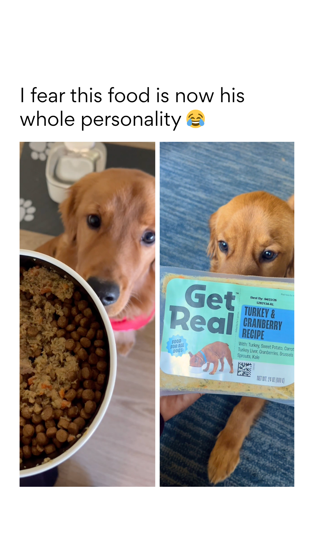 Chewy Facebook ad
