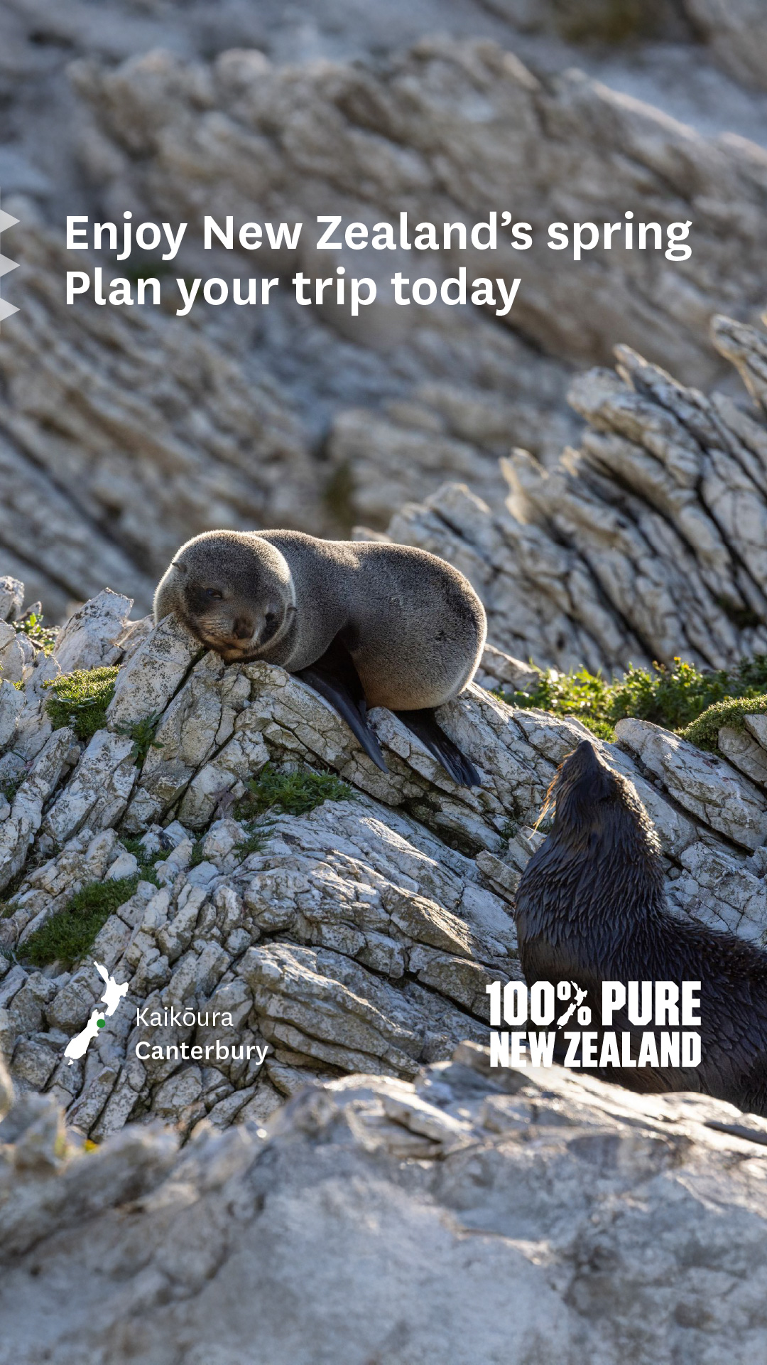 100% Pure New Zealand Facebook ad