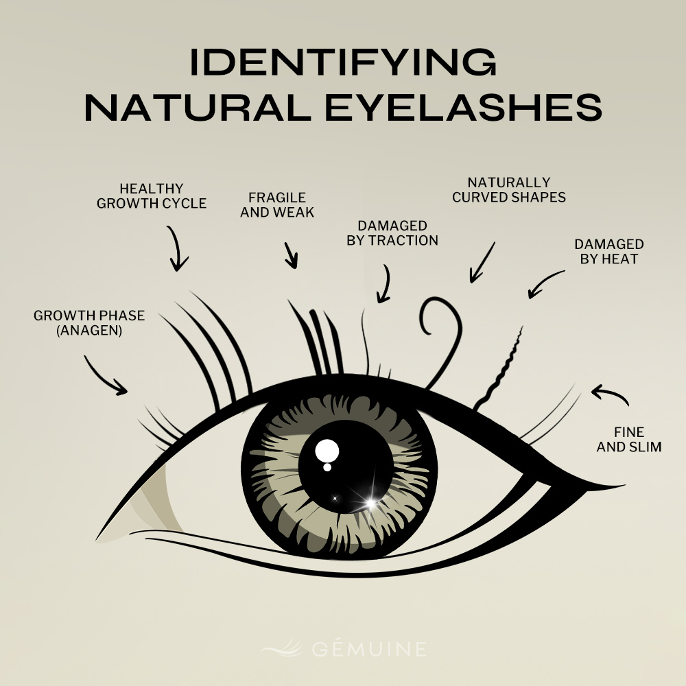 Gemuine Lashes Facebook ad