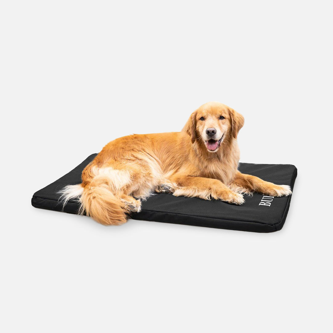 K9 Ballistics Dog Beds Facebook ad