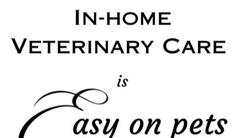 Straight Arrow Veterinary Care - Dr. Kristen Ficzycz, DVM Facebook ad