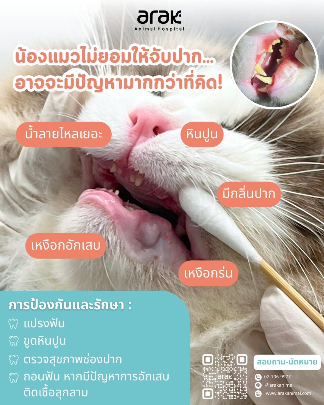 Arak Animal Hospital โรงพยาบาลสัตว์อารักษ์ Facebook ad