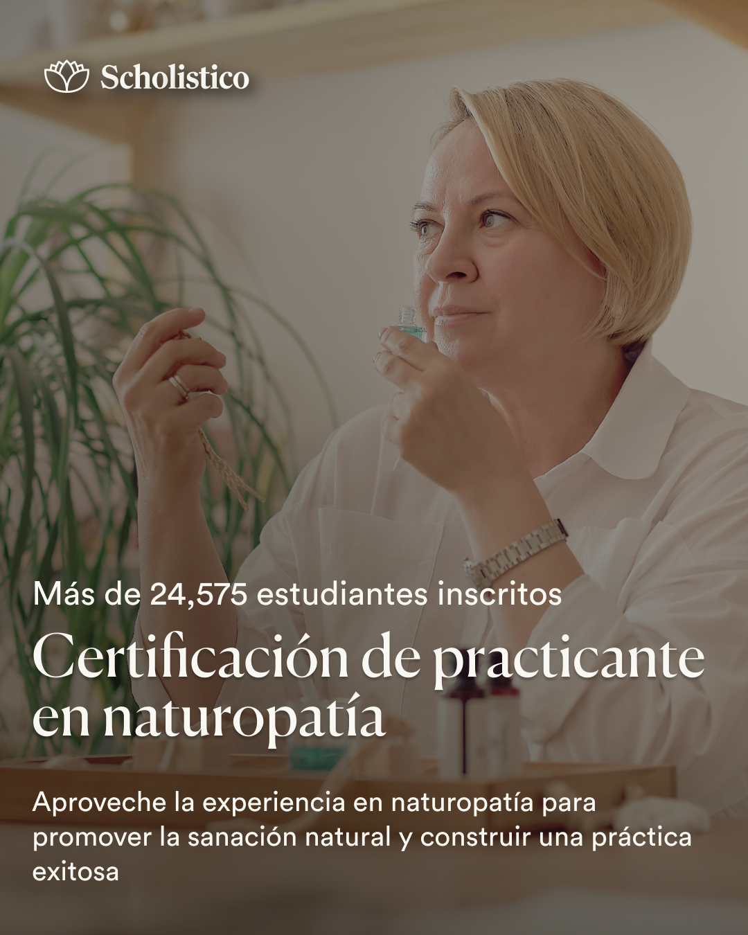 Scholistico Español Facebook ad