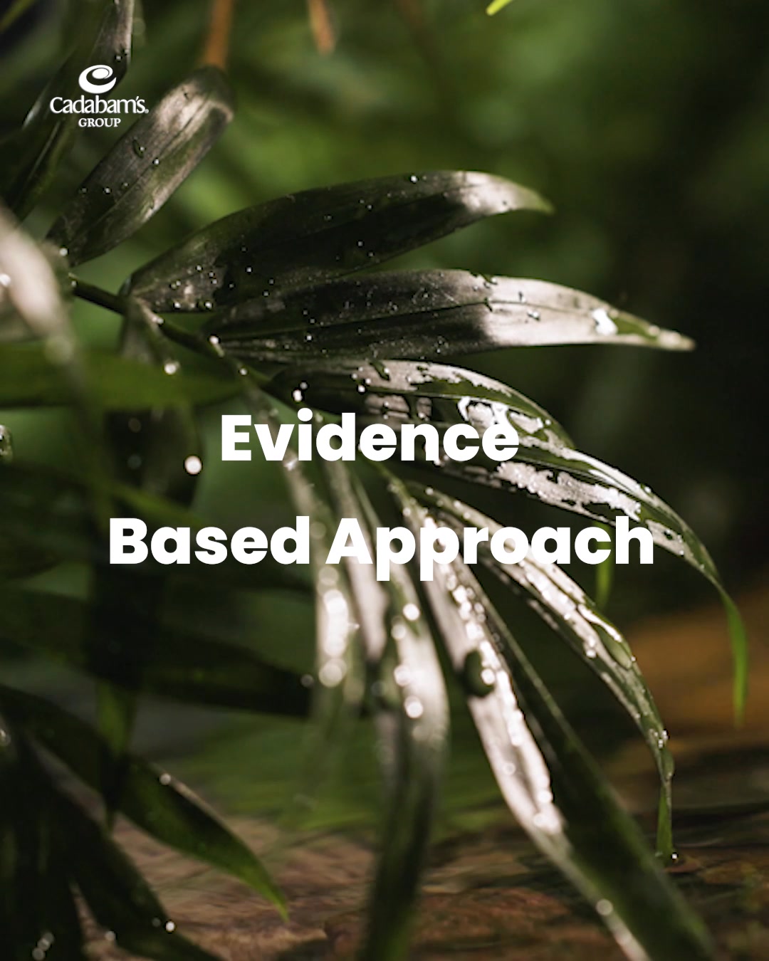 Anunitha Deaddiction Centre Facebook ad: Break Free with Mindfulness and Evidence-Based Care