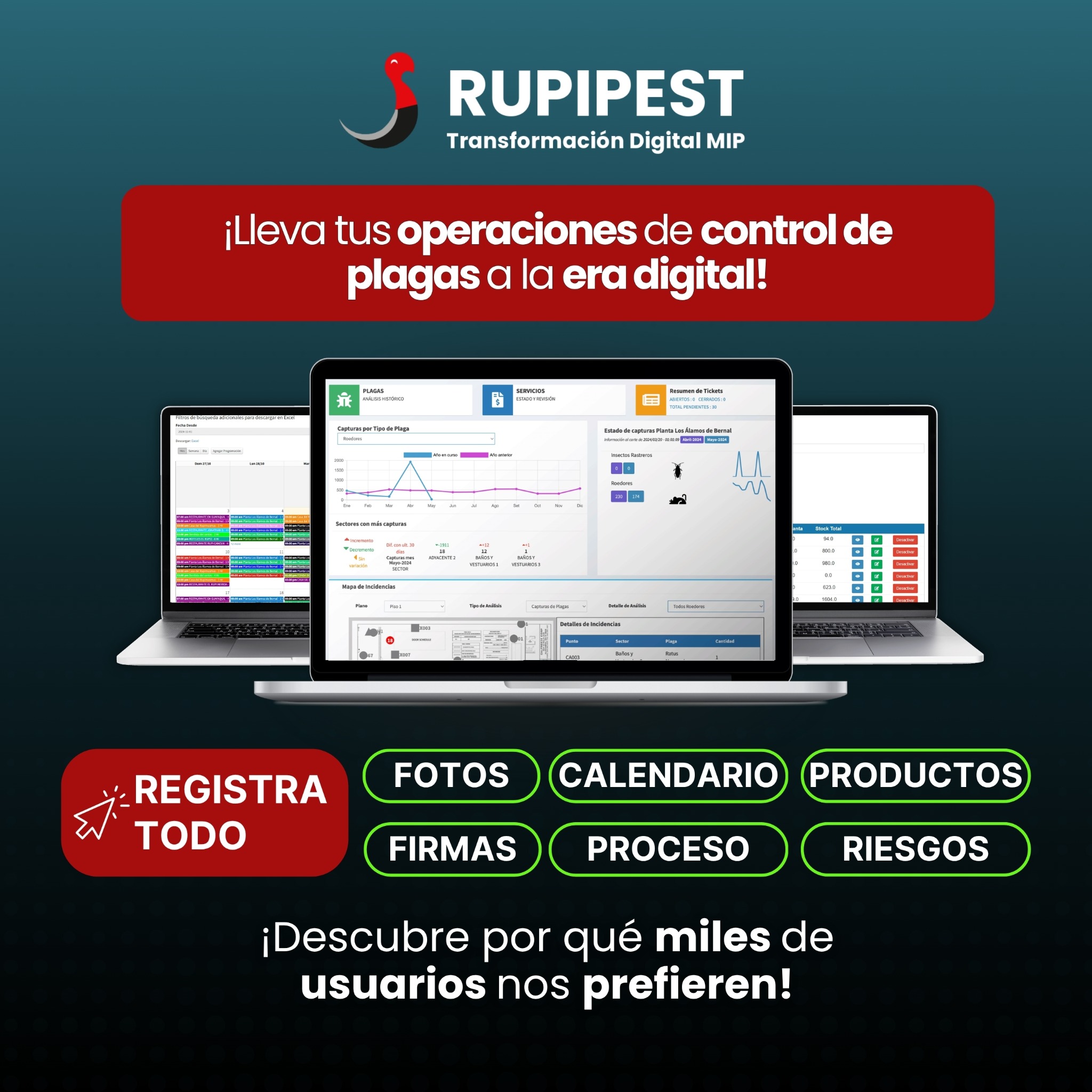 Rupipest Facebook ad: DEMO GRATIS