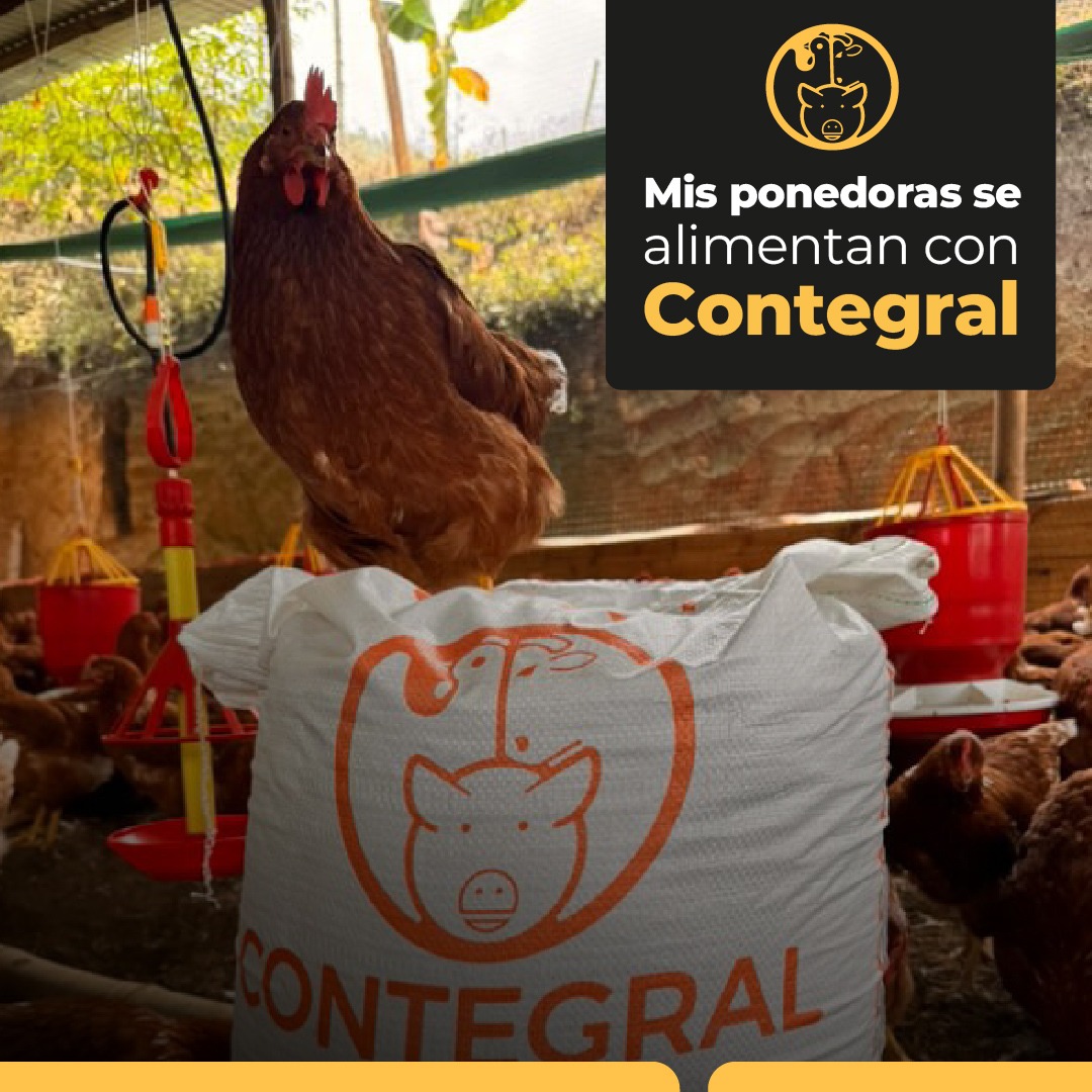 Contegral.co Facebook ad: Mejora el bienestar y eficiencia productiva de tus…