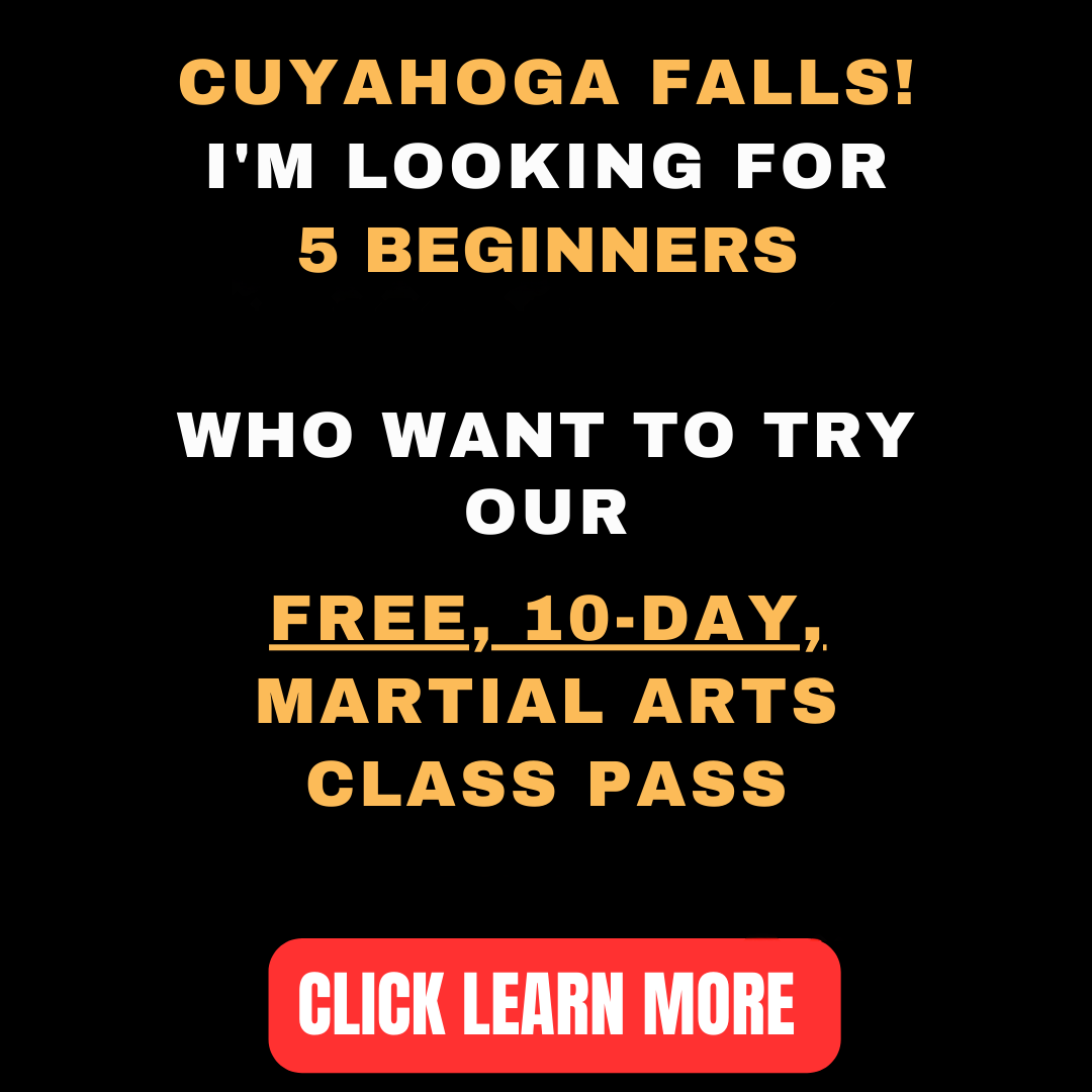 World Kickboxing Academy Facebook ad: Want a FREE 10-Day, Martial Arts Class Pass?