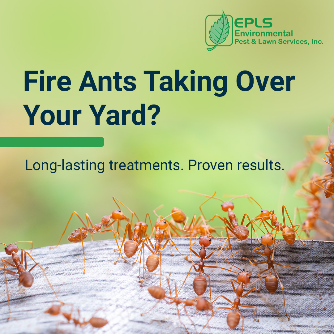 Environmental Pest & Lawn Services, Inc. - EPLS Facebook ad: Protect your home and keep pests out with…