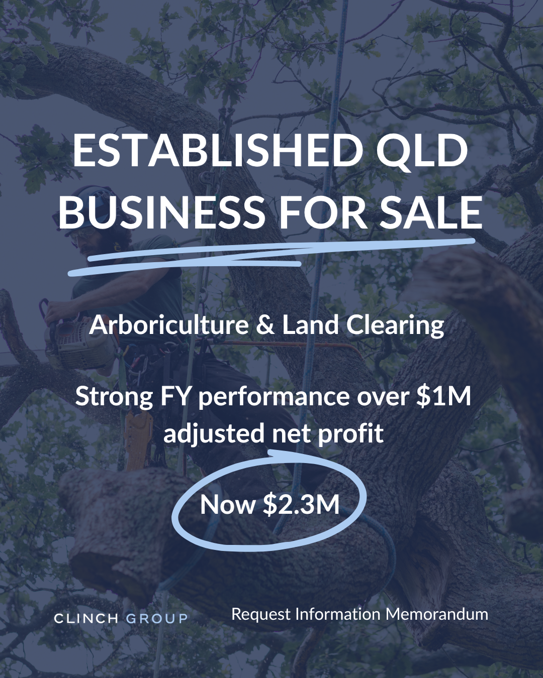 Clinch Business Sales Facebook ad