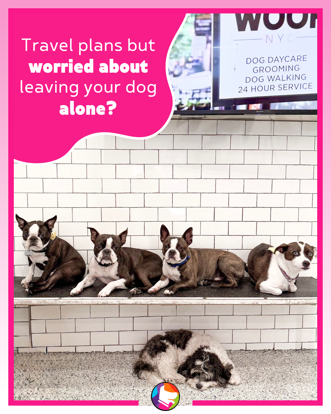 Urban Woof NYC Facebook ad from Jan 19, 2026