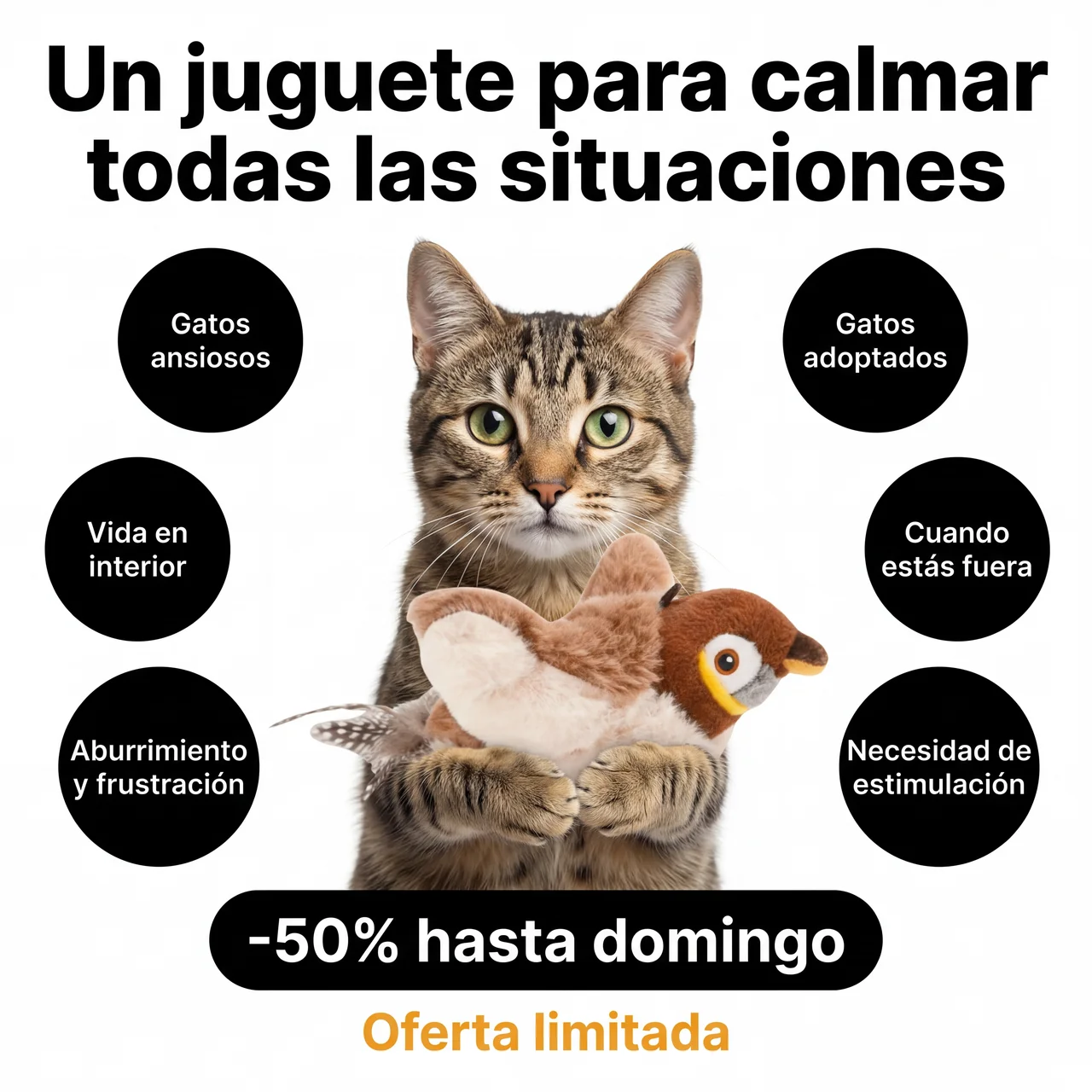 Pawlet Facebook ad